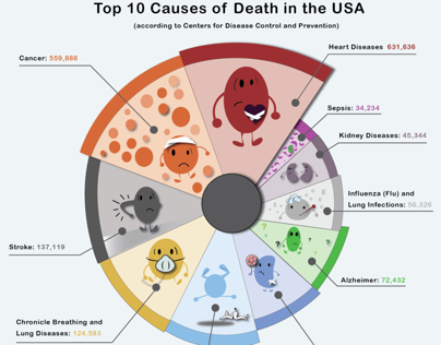 Top Ten Causes of Death in the USA