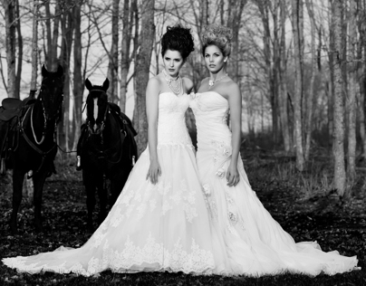 Wedding Decor & Fashion editorial
