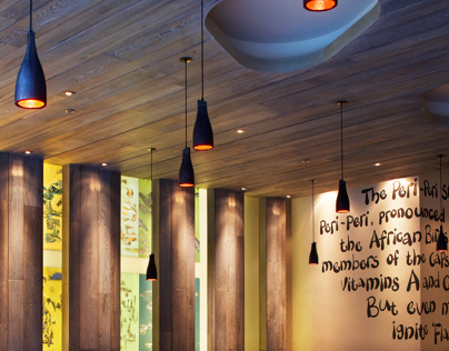 Nandos Pendants and light Features
