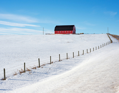 Rural Alberta Winter