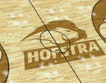 Hofstra Universitiy Basketball Court