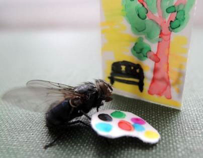 Creativity of fly