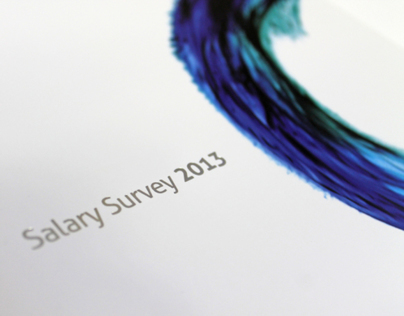 Salary Survey 2013