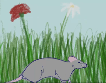 RAT - Animation Test