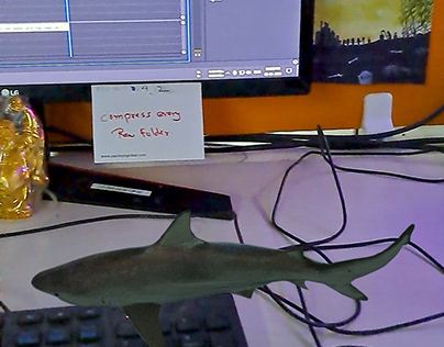 Shark On My Work Desk