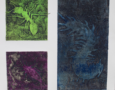 Insect Collagraphs