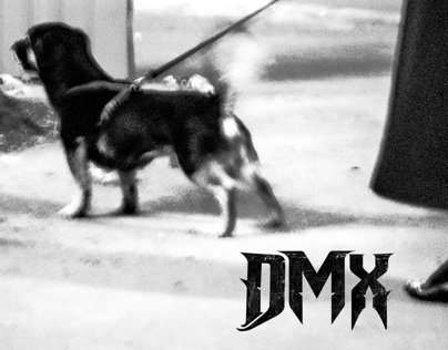 DMX - Shamija king