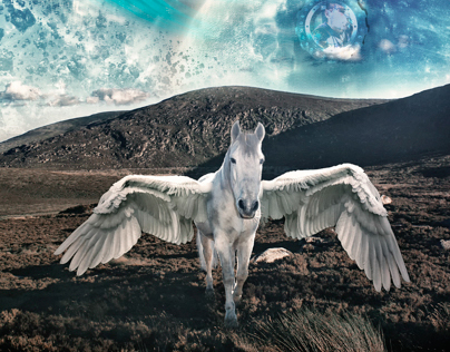 Pegasus-HDR