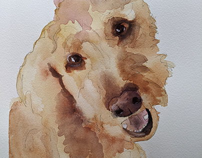 Watercolor Dog Portraits