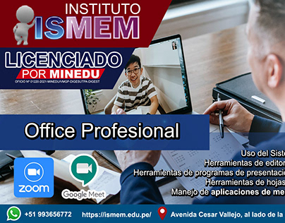 Ms Office Profesional