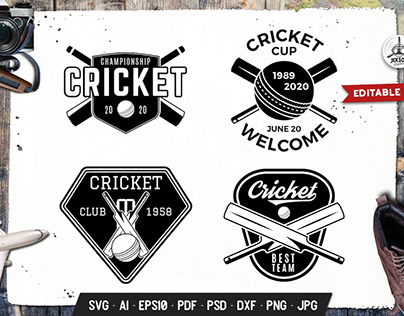 Cricket Logos Templates Set Vector Sport Badges