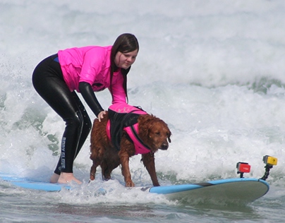 Ricochet the Surf Dog's Always Sunny Story