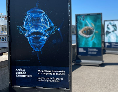 The Ocean Agency Poster "UN OCEAN DECADE"​​​​​​​