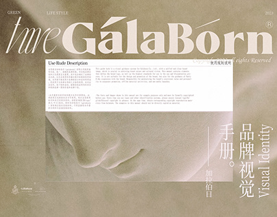 1.基础部分 |GALABORN品牌识别手册