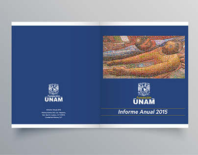 Informe anual FUNAM 2015