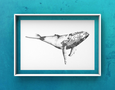 Pointillism • Humpback whale