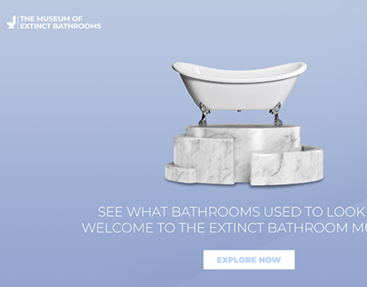 The Museum of Extinct Bathrooms