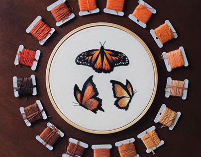 Bordado Borboletas - Butterfly Embroidery