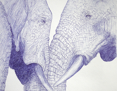 Elephants III-II