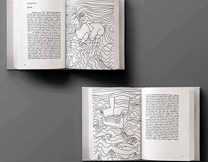 Book illustrations for György Dragomán's novels
