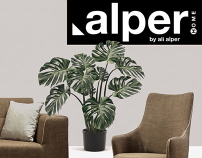 Alper Home Design