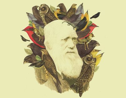 Charles Darwin / Fascículo Coleccionable