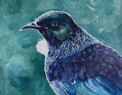 NZ Native Birds - June 2021 Paintings
