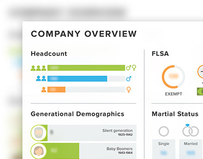 Company Stats Infographic