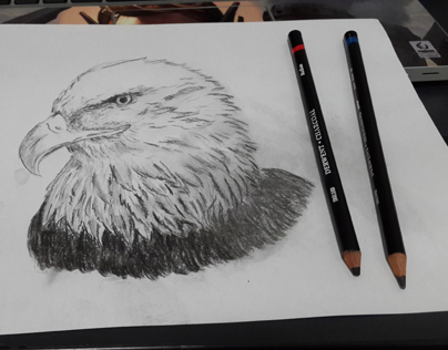 Sketch: Bird of Prey