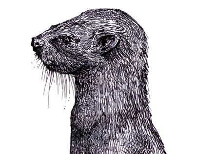 The Upright Otter