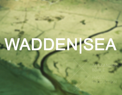 wadden|sea