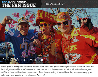 CBS Local Sports: The Fan Issue