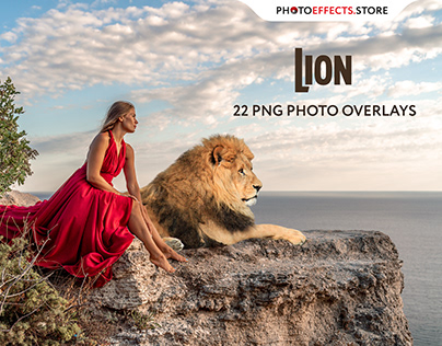 22 Lion Photo Overlays
