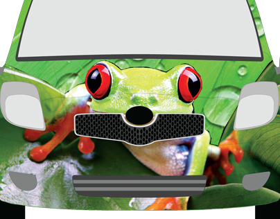 Yaris Frog Car Wrap