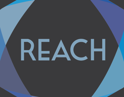 REACH Logo and Website