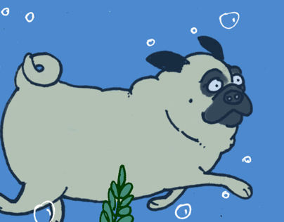 Pug swimming.