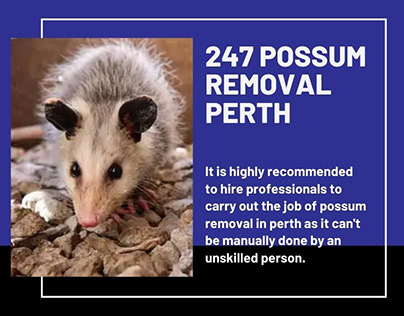 Project thumbnail - 247 Possum Removal Perth