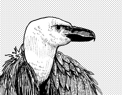 Vulture Ink