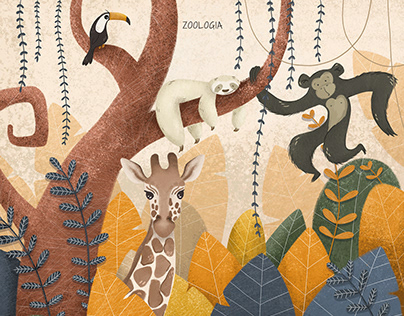 Zoology Illustration