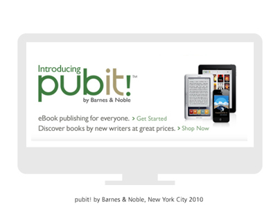 2010 pubit! for BN.com