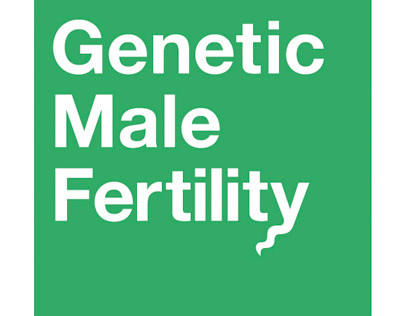 Genetic  Male Fertility
