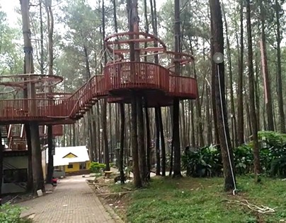 Kopeng Treetop Adventure Park Getasan Semarang