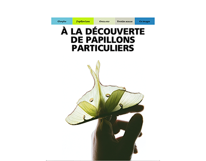 papillons particuliers