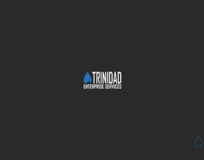 Trinidad Enterprise Services Logo Design