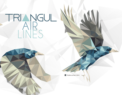 Triangul Air Lines