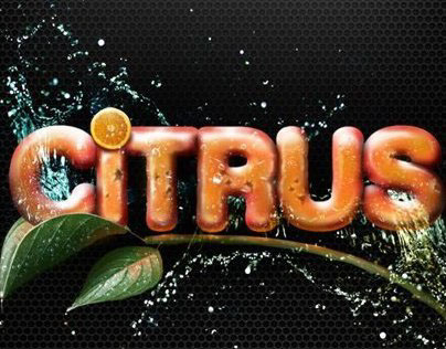 Citrus Typography