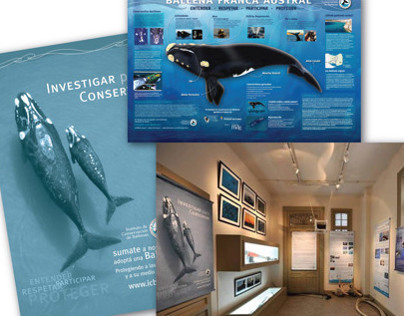Instituto de Conservación de Ballenas