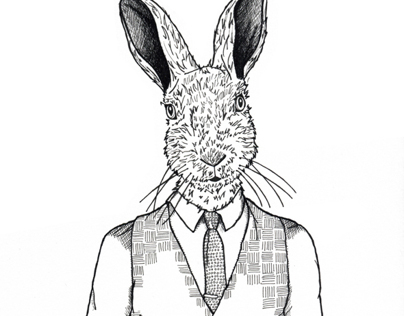 A Gentleman Hare