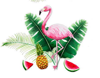 Tropical flamingos pattern