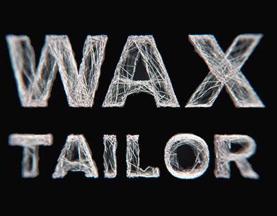 Wax Tailor and the Phonovisions Orchestra/VJing